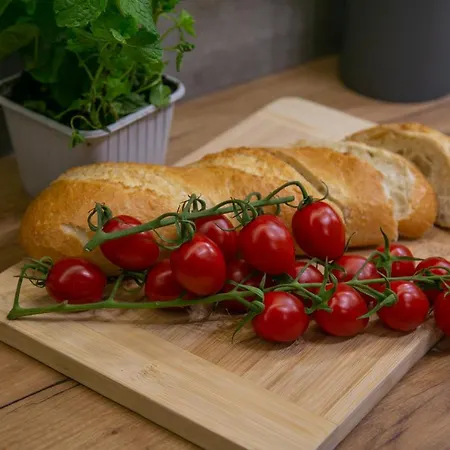 Forest Centrum Apartment *